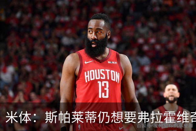 米体：斯帕莱蒂仍想要弗拉霍维奇，戴维高薪难离队