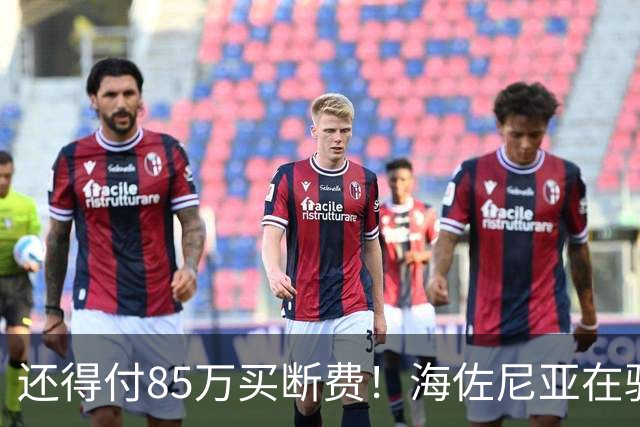 还得付85万买断费！海佐尼亚在骑士年薪280万美元 远不如皇马时期